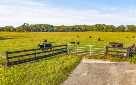 20 Acres–Prime Horse Property Near High Springs Florida