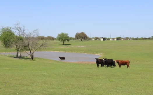 65 Acre Hilltop Ranch – 2820 Talbert Rd, China Spring, TX