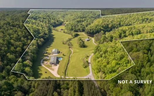 Multi-Family Estate and Land for Sale in Waynesboro, TN