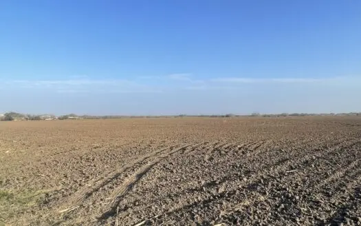 Acreage for Sale in St Paul, TX