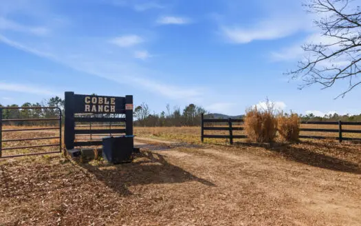 Secluded Ranch Bordering Mark Twain Nat’l Forest in Vanzant, MO
