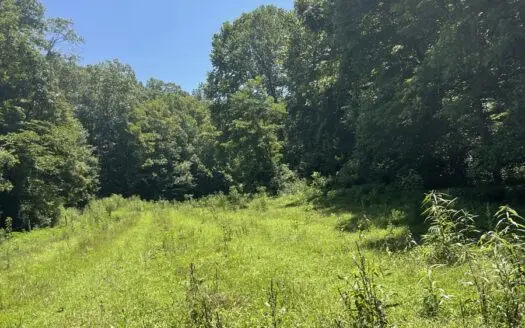 Country home with wooded land and pasture in Lewis county ky