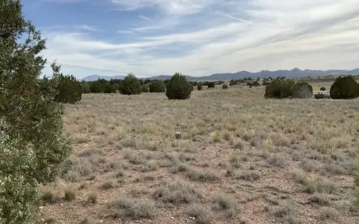 Land with a Well for Sale in Paulden AZ