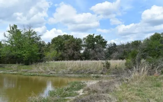 Discover this 54+ acre land located in the mineral rich Kosse