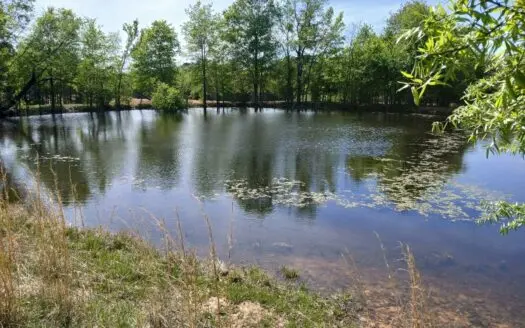 158± Acre Multi-Use Ranch & Hunting Property Near Antlers, OK