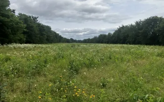 25 +/- Acre Hobby Farm With Amazing Building Site