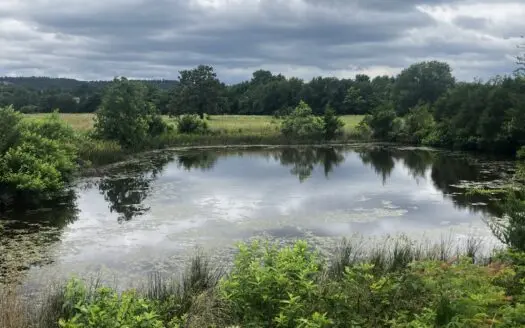 Hobby farm with outstanding build site, pasture, ponds, utilities