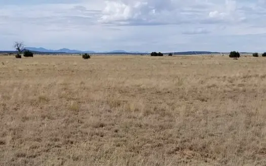 Vacant Land For Sale North of Estancia NM