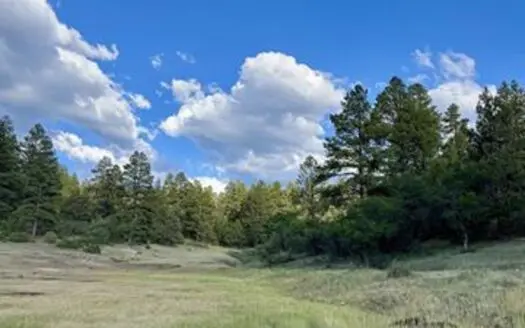 55.47 Acres with Irrigation, Hay Meadow, Mountain Views & Hunting