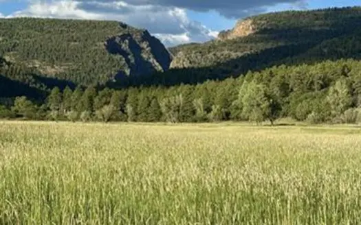 55.47 Acres with Irrigation, Hay Meadow, Mountain Views & Hunting