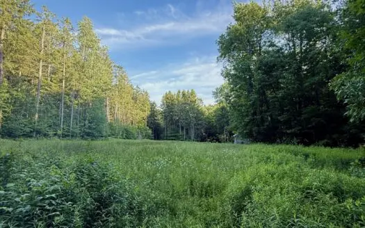 Recreational Property with Acreage For Sale in Brookfield, NY
