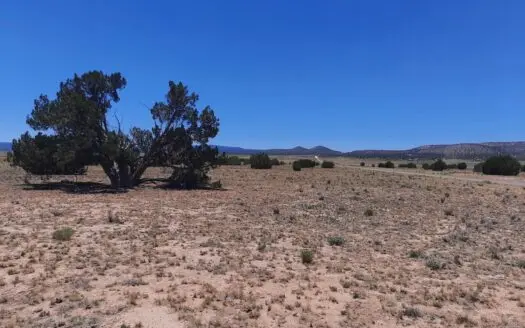 Perfect Northern AZ parcel just off Route 66
