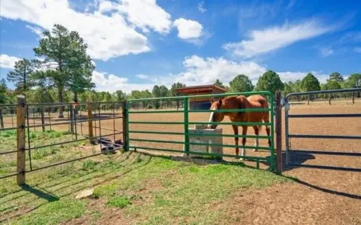 Luxury Mountain Retreat with Premier Equestrian Facilities