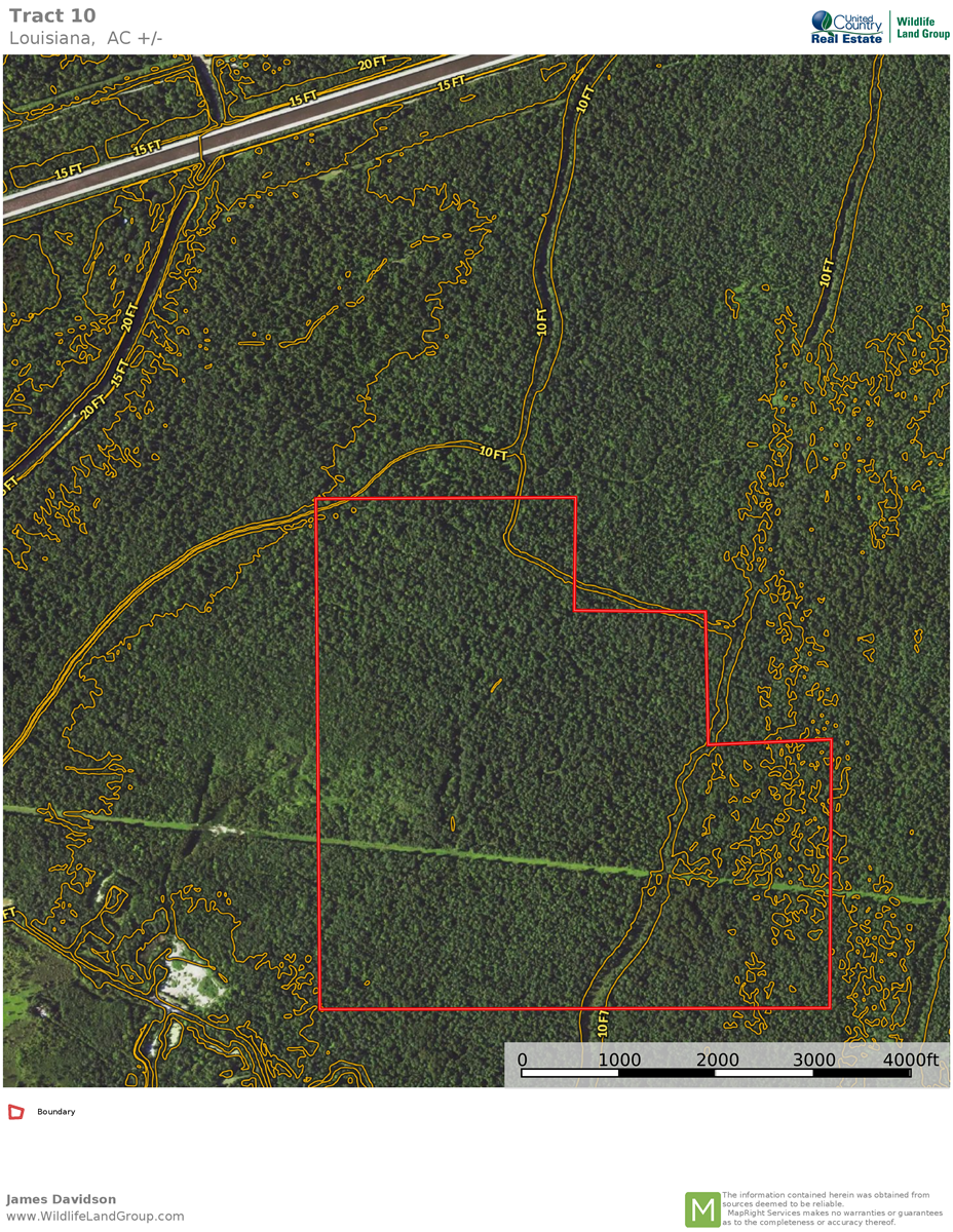 HUNTING RECREATIONAL PROPERTY / IBERVILLE PARISH LOUISIANA