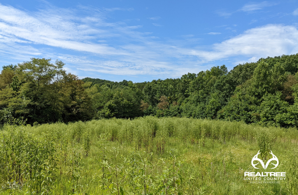 23 Acres In Gallia County