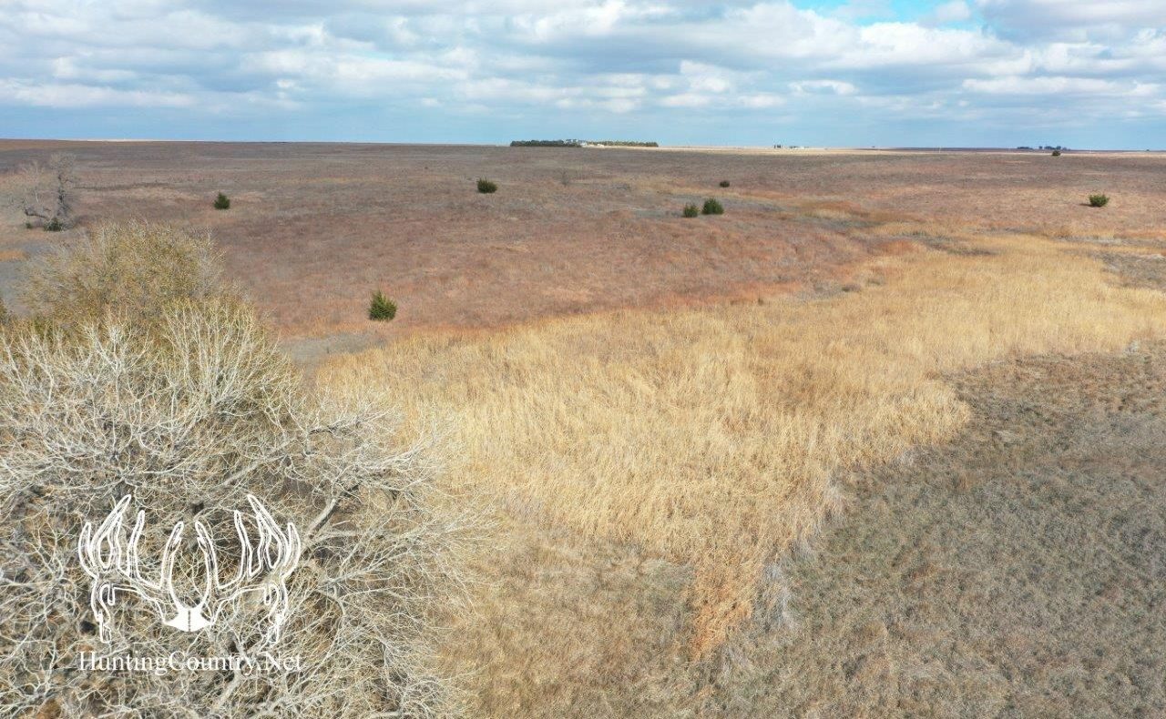 117 acres m/l. Kiowa County Kansas Hunting Land For Sale