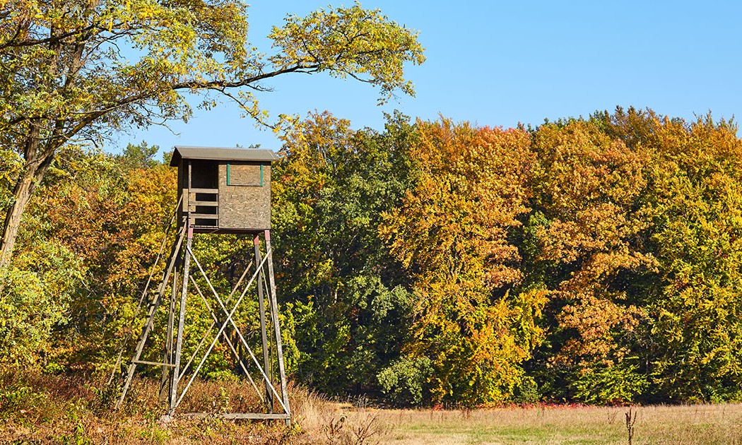 Setting up a Hunting Lease