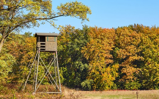 Setting up a Hunting Lease