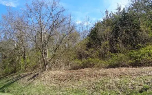 10.8 Unrestricted Acres for sale in Russellville, TN