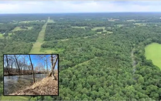 River-front recreation, hunting, and timberland for Sale in Thayer, MO.,