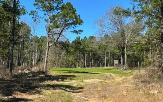 East Texas Timberland Investment & Hunting Tract