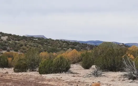 This 36.53 acre parcel is truly unique