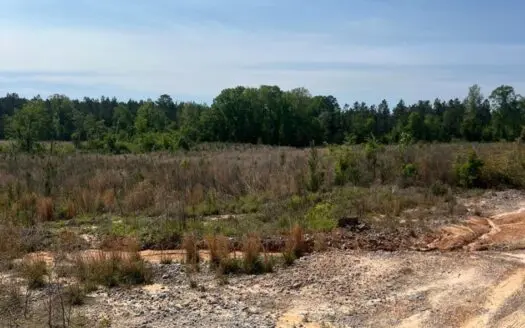 14 Acre Timber Tract with Road Frontage