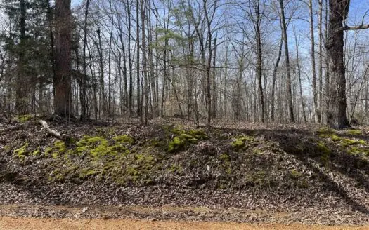 Wooded Land For Sale In Hardin County Tn, 11 Acres