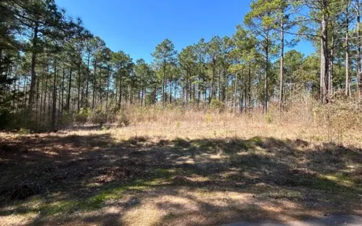 East Texas Land For Sale –  Timber Investment & Hunting Property