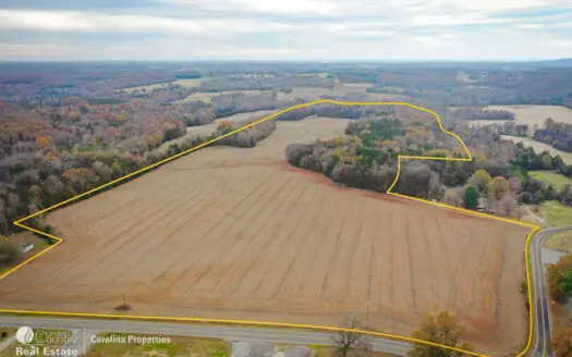 Prime North Carolina Tillable Farmland with Mature Hardwood Stand
