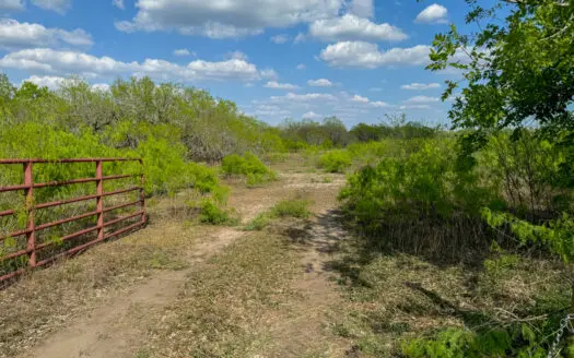 King Lane & CR 106 – 10.00 Acres | Bee County, TX