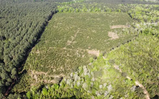 Jackson Parish Timber Tract 2 for Sale