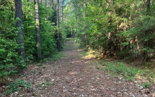 Jackson Parish Timber Tract 3 for Sale