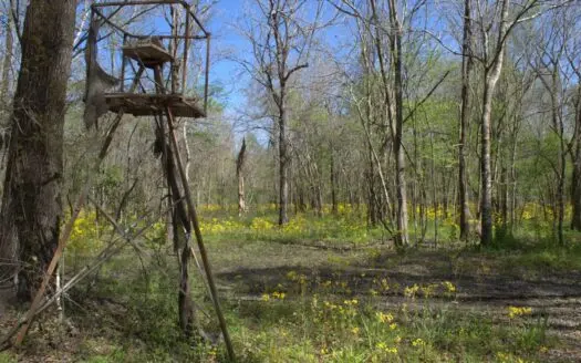 15 Acres of Prime Atchafalaya Basin Hunting Land – Butte La Rose