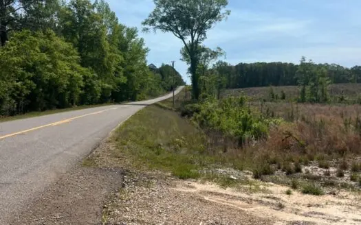 67.33 Acre Timberland Hunting Property Jackson Parish North LA