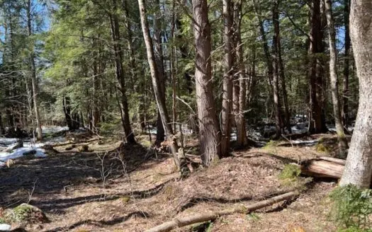 Large Acreage For Sale Near Adirondack Park in New York!