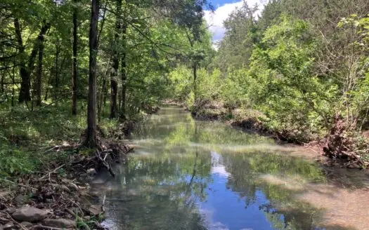 Recreational, hunting, off grid land bordering National Forest