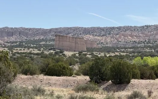 Land For Sale Surrounded by Carson National Forest with a river