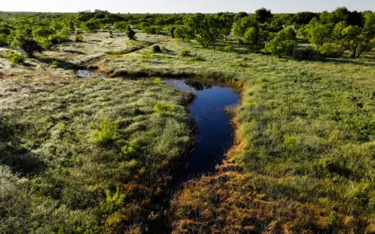 Gorgeous 355 acres of Hunting and Ranch Land in Archer County TX