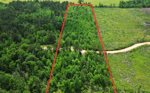 Excellent Hunting Land in Miller County