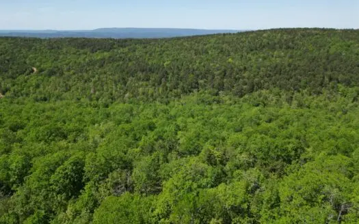 Mountain Land for Sale in Albion, Oklahoma