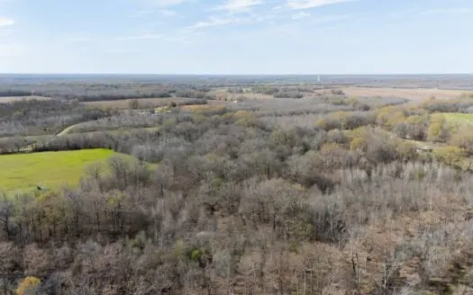 Bayou Macon 185 West Carroll Parish Land for Sale