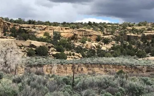 Land for sale near Lake Navajo