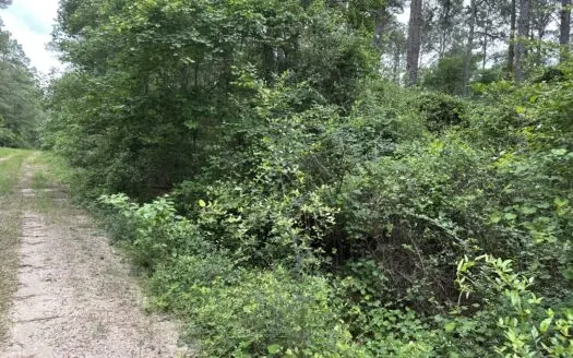 East Texas Hunting/Recreational/Timber Land For Sale