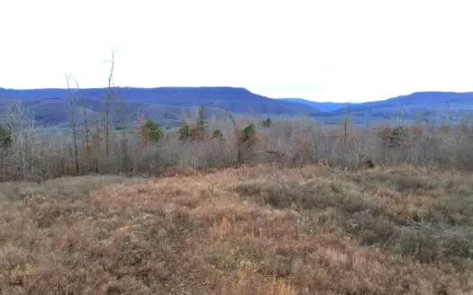 60 Acres Newton Co Land Bordering Buffalo National River Lan