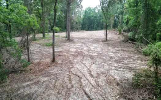 Hamburg 41: Hunting Land for Sale in Roxie, Mississippi