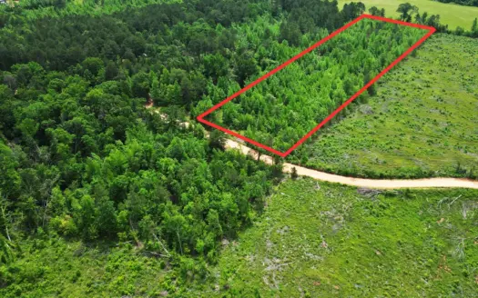 Excellent ±6 AC Hunting Land in Miller County