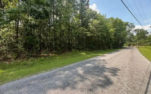 Beautiful 10 Acre Homesite Heidelberg, Ms Jasper County