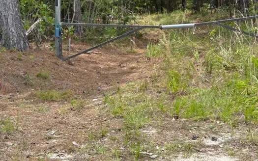 31.61 Acres with Pine, Mixed Hardwoods, Internal Roads & Creek