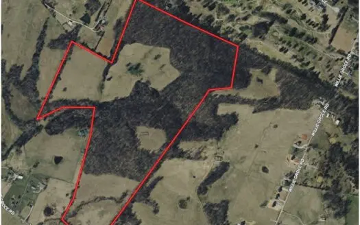 158 Acres of Untamed Beauty- Borders Local Golf Course